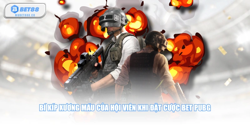 Bí kíp xương máu của hội viên khi đặt cược Bet PUBG