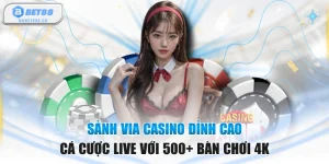 Sảnh VIA Casino Đỉnh Cao Cá Cược Live Với 500+ Bàn Chơi 4K