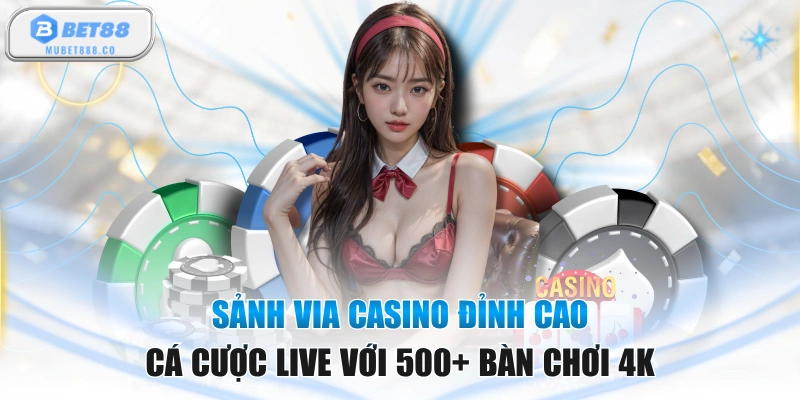 Sảnh VIA Casino Đỉnh Cao Cá Cược Live Với 500+ Bàn Chơi 4K