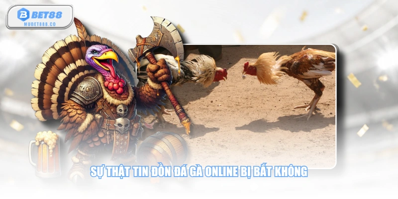 Sự thật tin đồn đá gà online bị bắt không