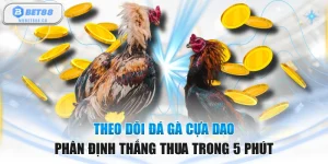 Theo Dõi Đá Gà Cựa Dao Phân Định Thắng Thua Trong 5 Phút
